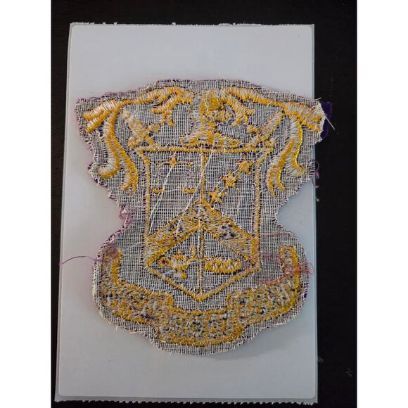 Vintage 50s-70s Phi Alpha Epsilon Greek Crest Patch 4.5" Felt Collegiate - Picture 4 of 4